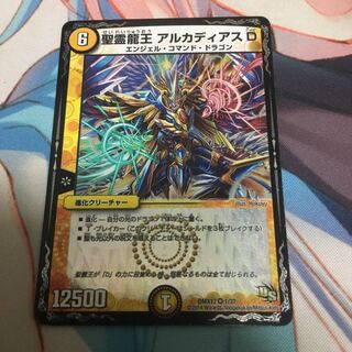 聖霊龍王 アルカディアスD