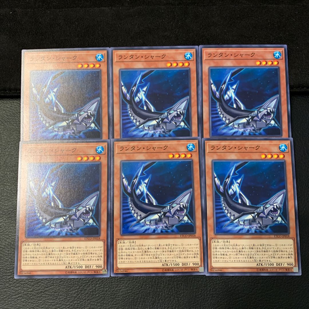 ランタン・シャーク N