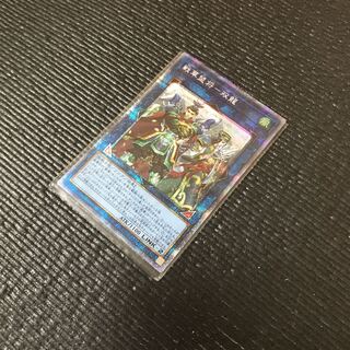 戦華盟将-双龍 PSE