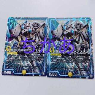 2枚　ベアスケス