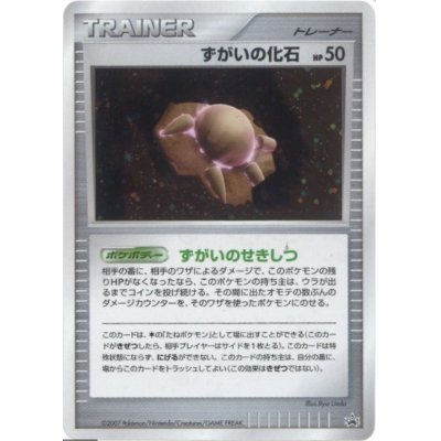 ずがいの化石(キラ)【P】{-} 1枚