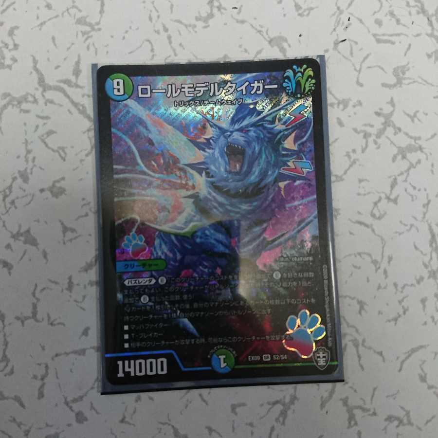 ロールモデルタイガー