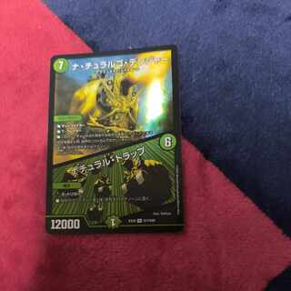 ナ・チュラルゴ・デンジャー|ナチュラル・トラップ SR S17/S20