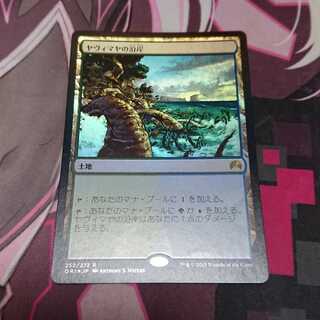 Yavimaya Coast Foil