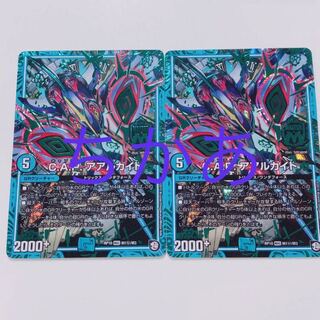 2枚　アアルカイト　シク