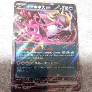 キチキギスex RR 038/064