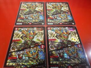 龍爪者“SVN”ムソウ｜二爪流トレーニング