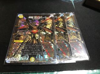 煌龍 サッヴァーク