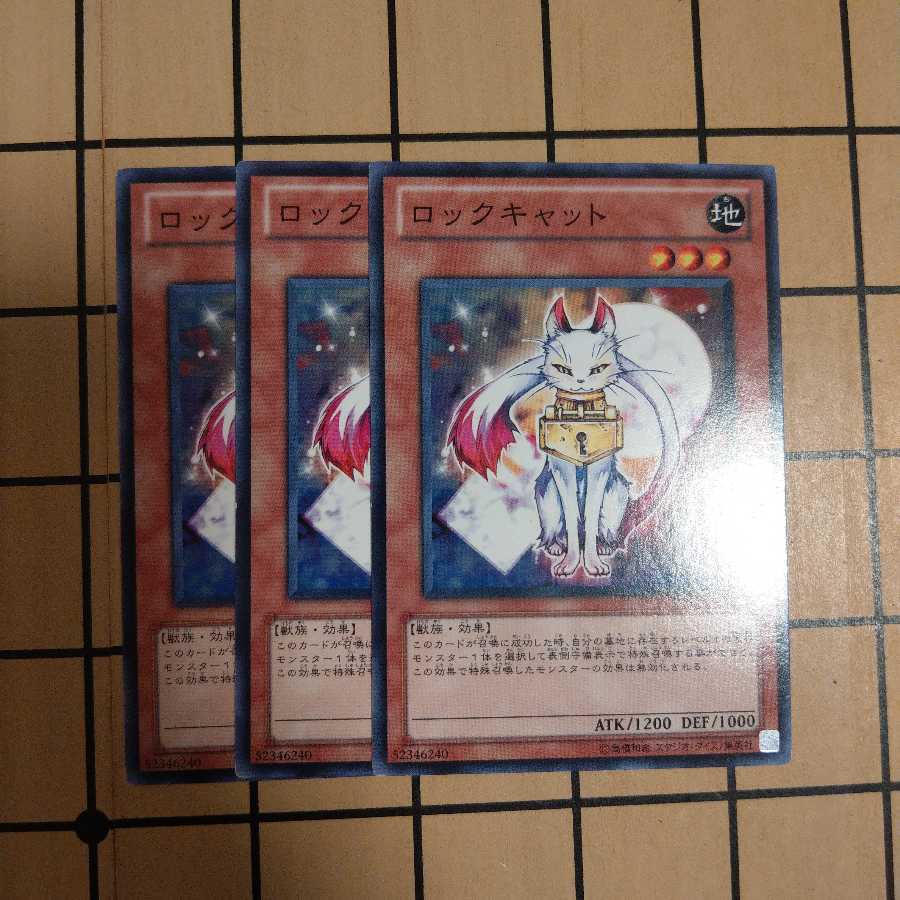 ロックキャット wstorm