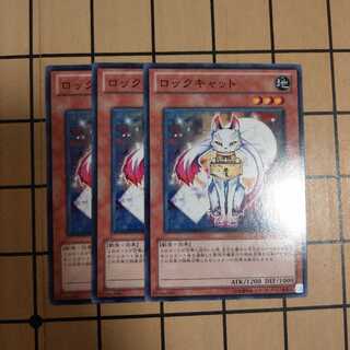 ロックキャット　wstorm