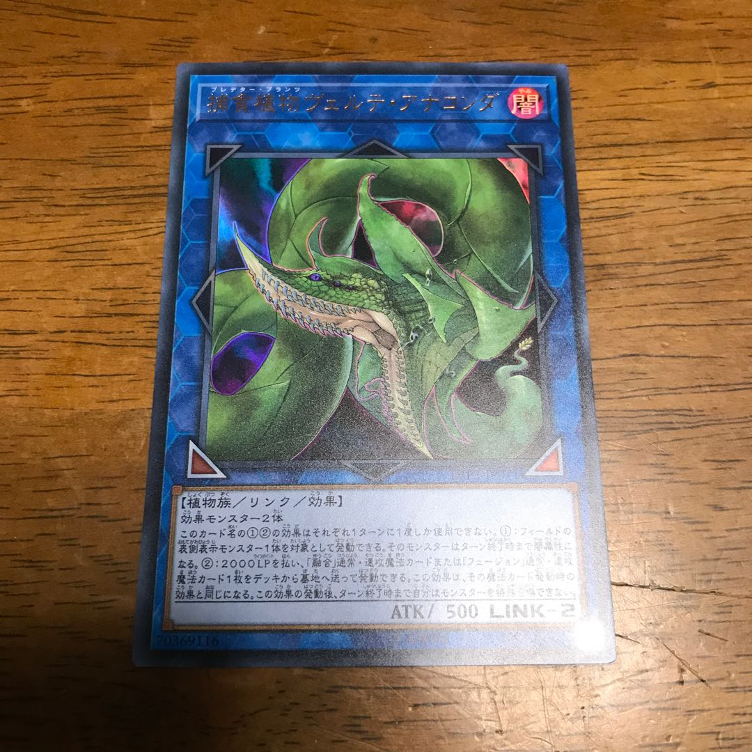 捕食植物ヴェルテ・アナコンダ UR fdkj1920