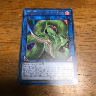 捕食植物ヴェルテ・アナコンダ UR fdkj1920