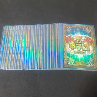 デュエマ甲子園 スリーブ 41枚 2014年全国大会