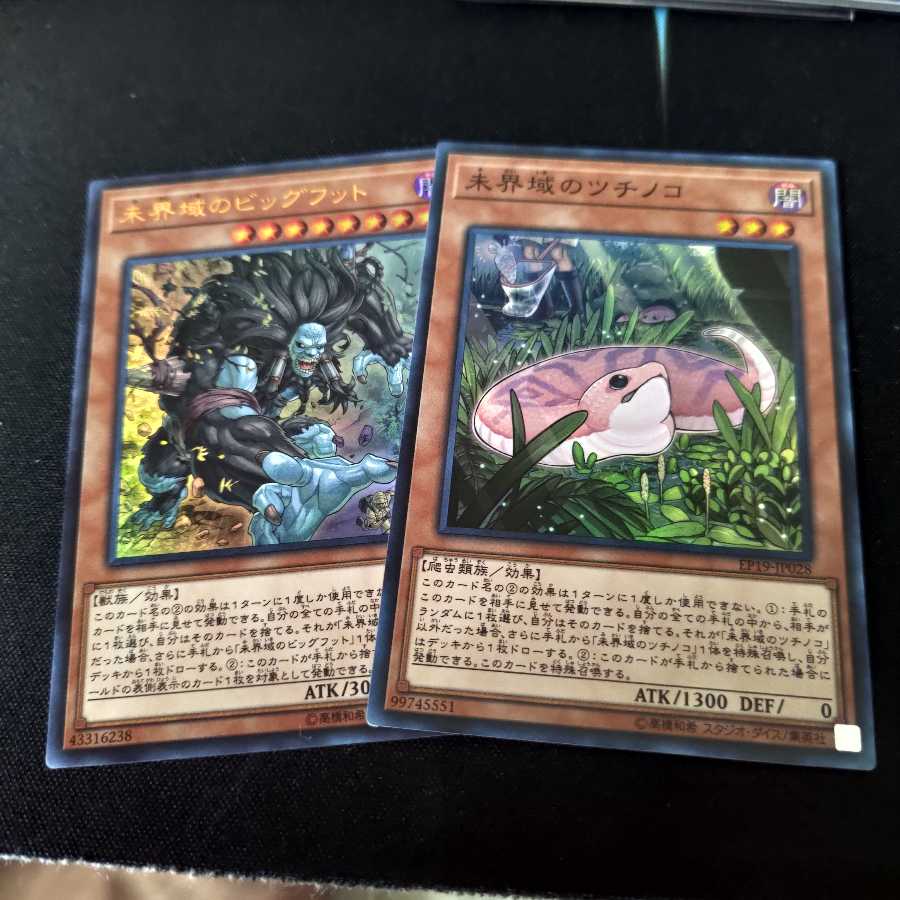 未界域のツチノコ・ビッグフット