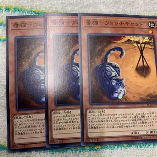 番猫-ウォッチキャット