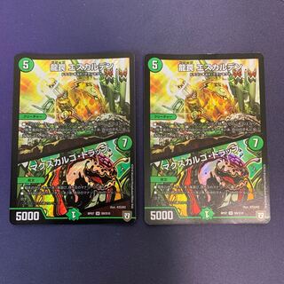 龍罠 エスカルデン｜マクスカルゴ・トラップ