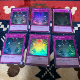 マクロコスモス