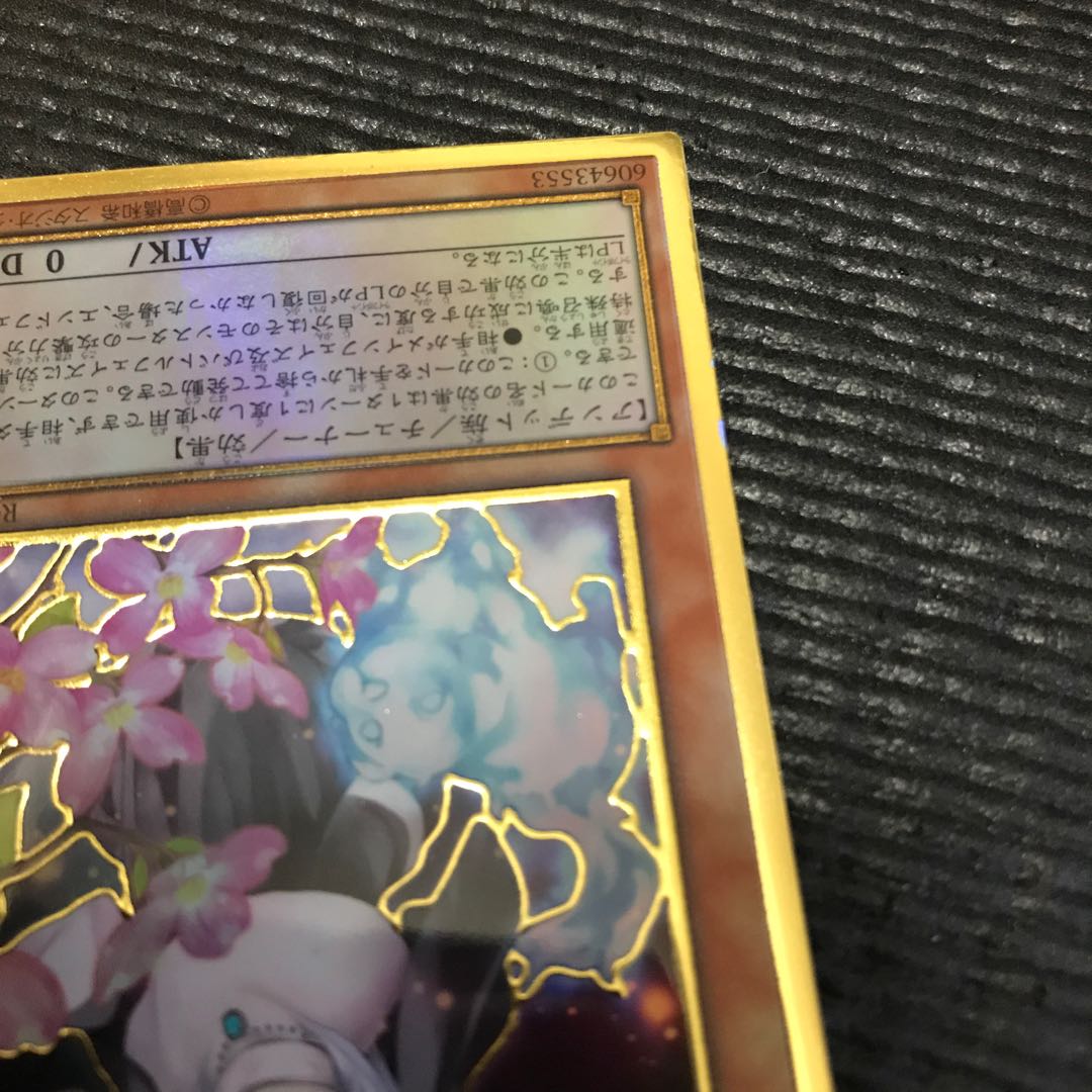 儚無みずき(海外版イラスト) PGR