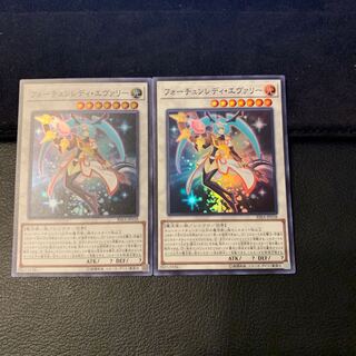 フォーチュンレディ・エヴァリー SR