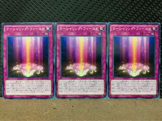 【ぽぽたん】遊戯王 6092 マーシャリング・フィールド 3枚 ノーマル