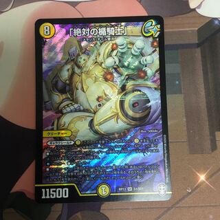 「絶対の楯騎士」