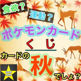 Total of 9 [New] Pokémon Card Lottery Numbers ①. 1枚