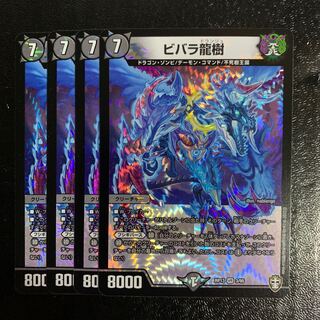 ビバラ龍樹4枚
