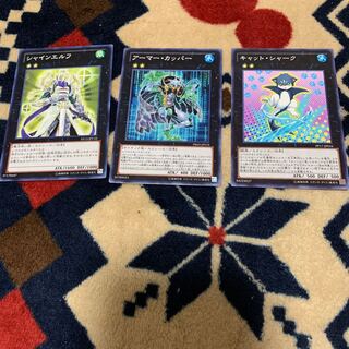 キャット・シャーク N ランク2