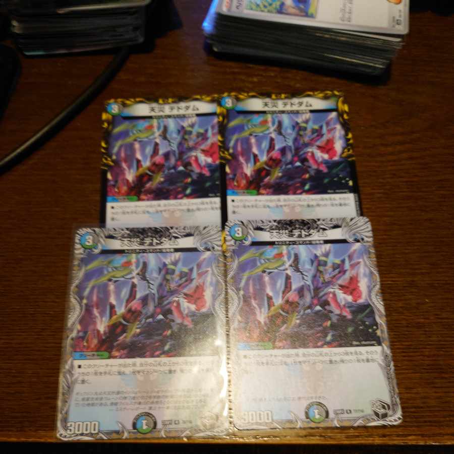 Natural disaster Dedham