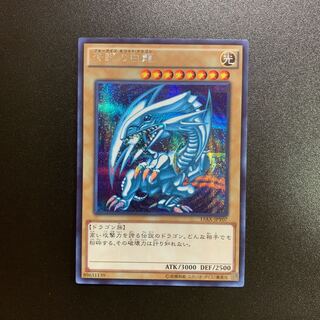 青眼の白龍  シークレット