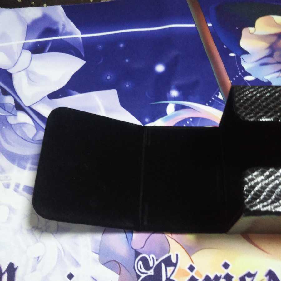 クロニクルデッキケース 2019デッドディザスター②