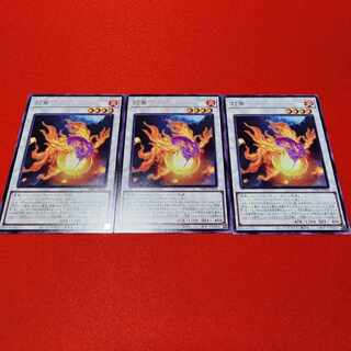 灯魚 ノーマル PHNI-JP044