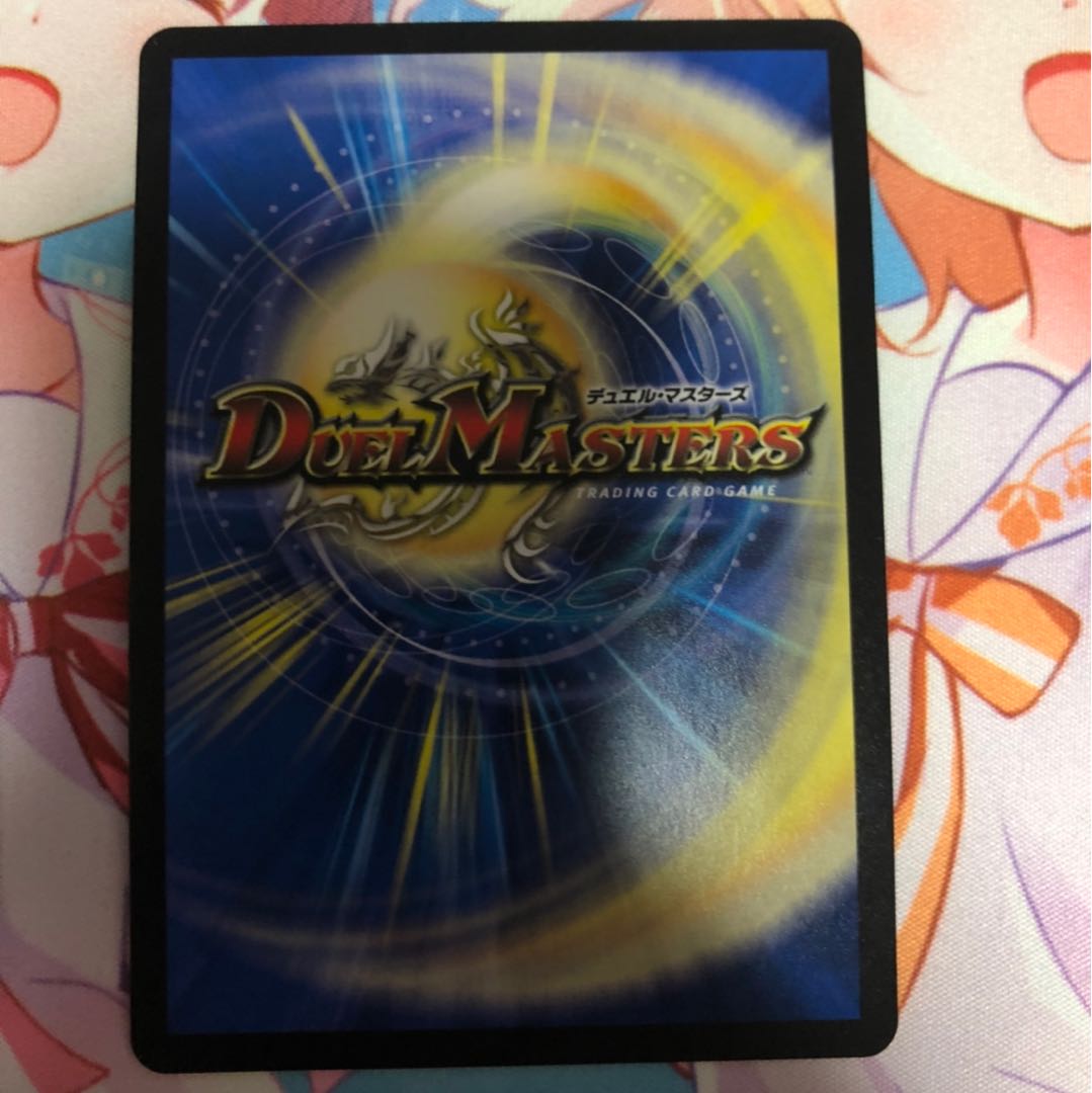 「雷光の聖騎士」