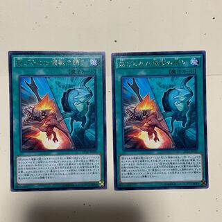 専用 妨げられた壊獣の眠り R