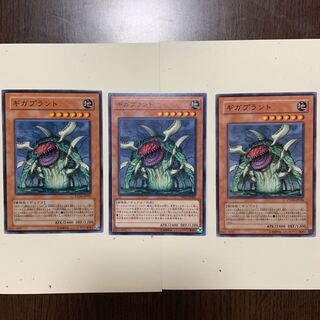 ギガプラント 3枚セット