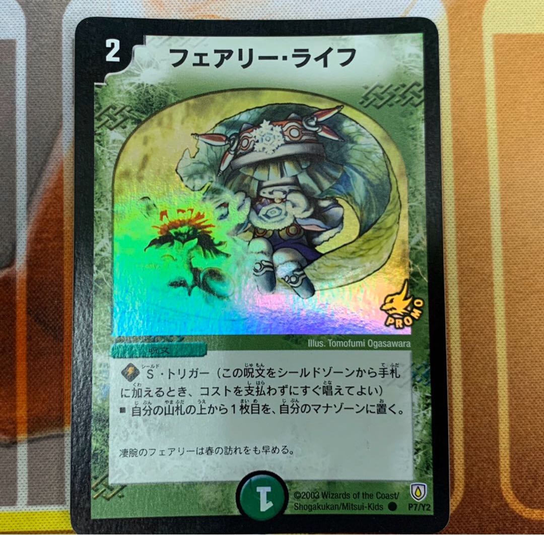 フェアリーライフ 初期プロモ