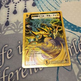 スペルデルフィン