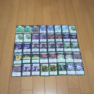 ドルバロム デッキ