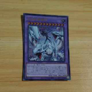 究極竜魔導師 ウルトラレア QCDB-JP001　【木林堂】