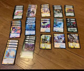 サバイバー 進化論 40枚セット 30枚