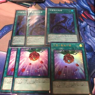 ガーデン・ローズ・メイデン UR その他