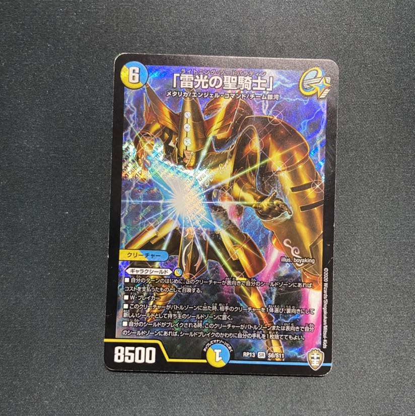 「雷光の聖騎士」