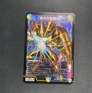 「雷光の聖騎士」