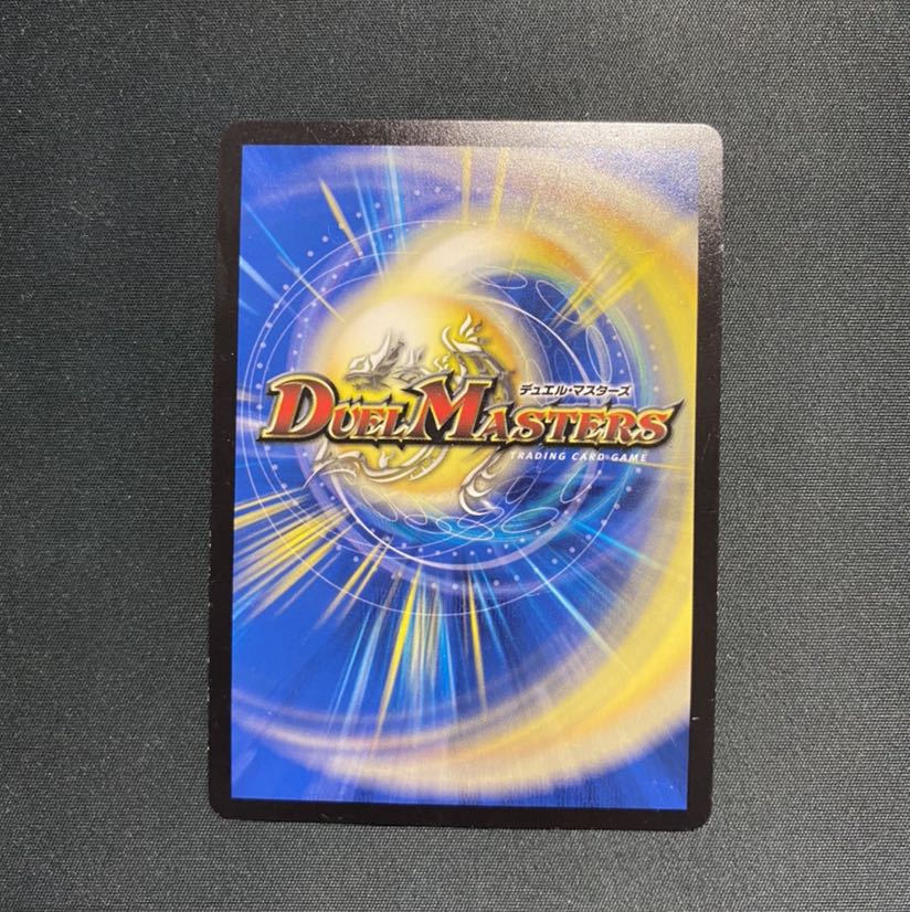 「雷光の聖騎士」