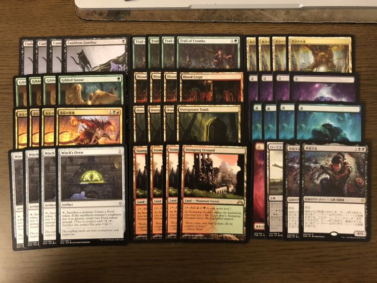 ふじりゅう様専用　ジャンドサクリファイス始めようセット土地のみ