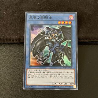 黒竜の聖騎士 SR