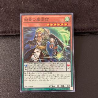 賤竜の魔術師 SR