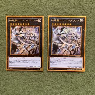 神竜騎士フェルグラント GS2枚