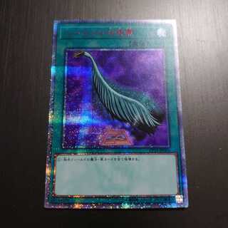 ハーピィの羽根帚 20thSE