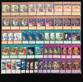 遊戯王 No.201 アマゾネス ガチ構築 デッキ40枚＋EX15枚